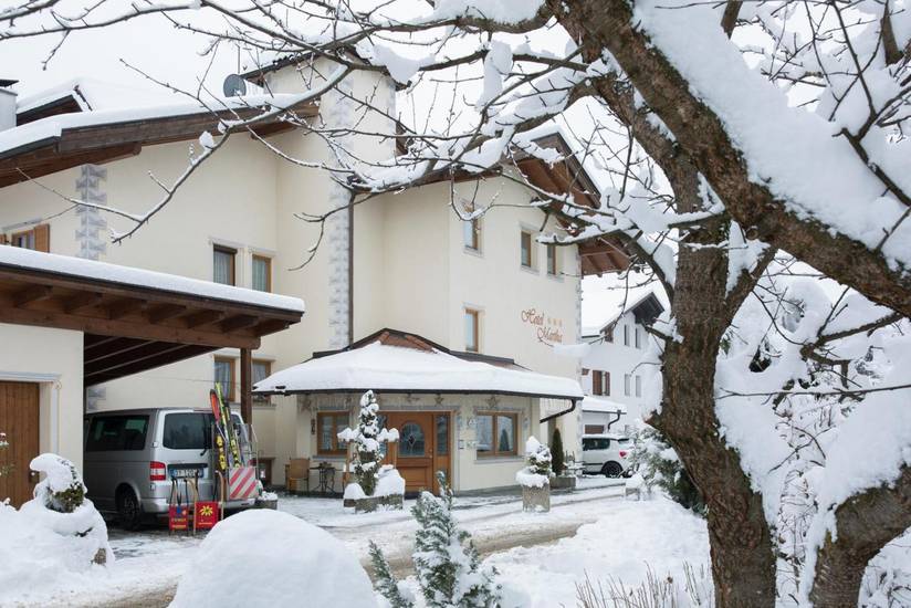 Hotel Martha 3* Италия, Брунико