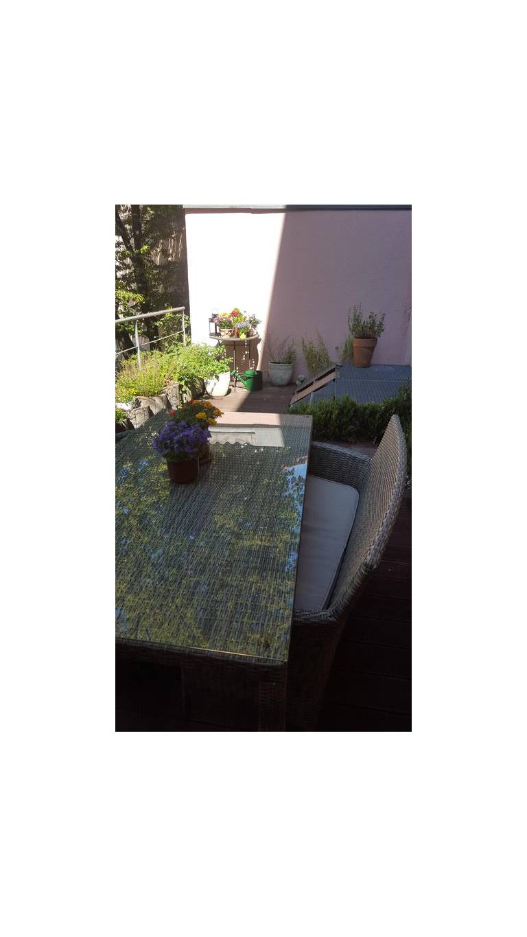Hotel Birke