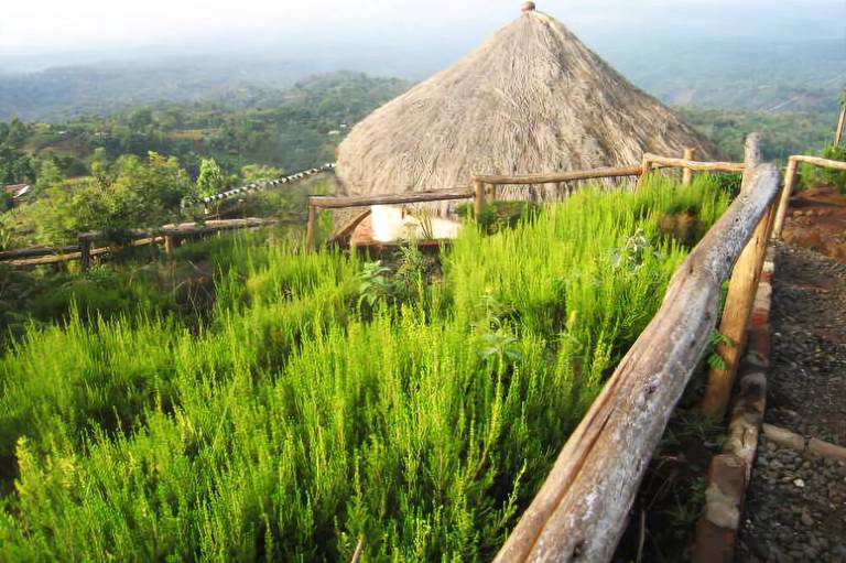 Mount Kilimanjaro View Lodge