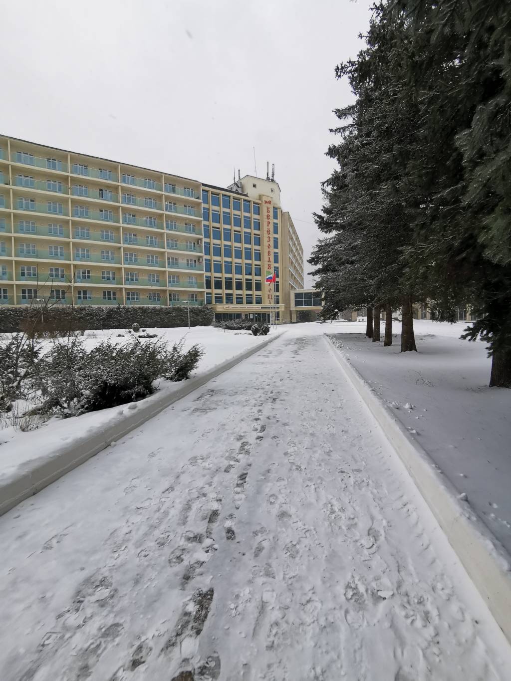 Пансионат с лечением Березовая роща