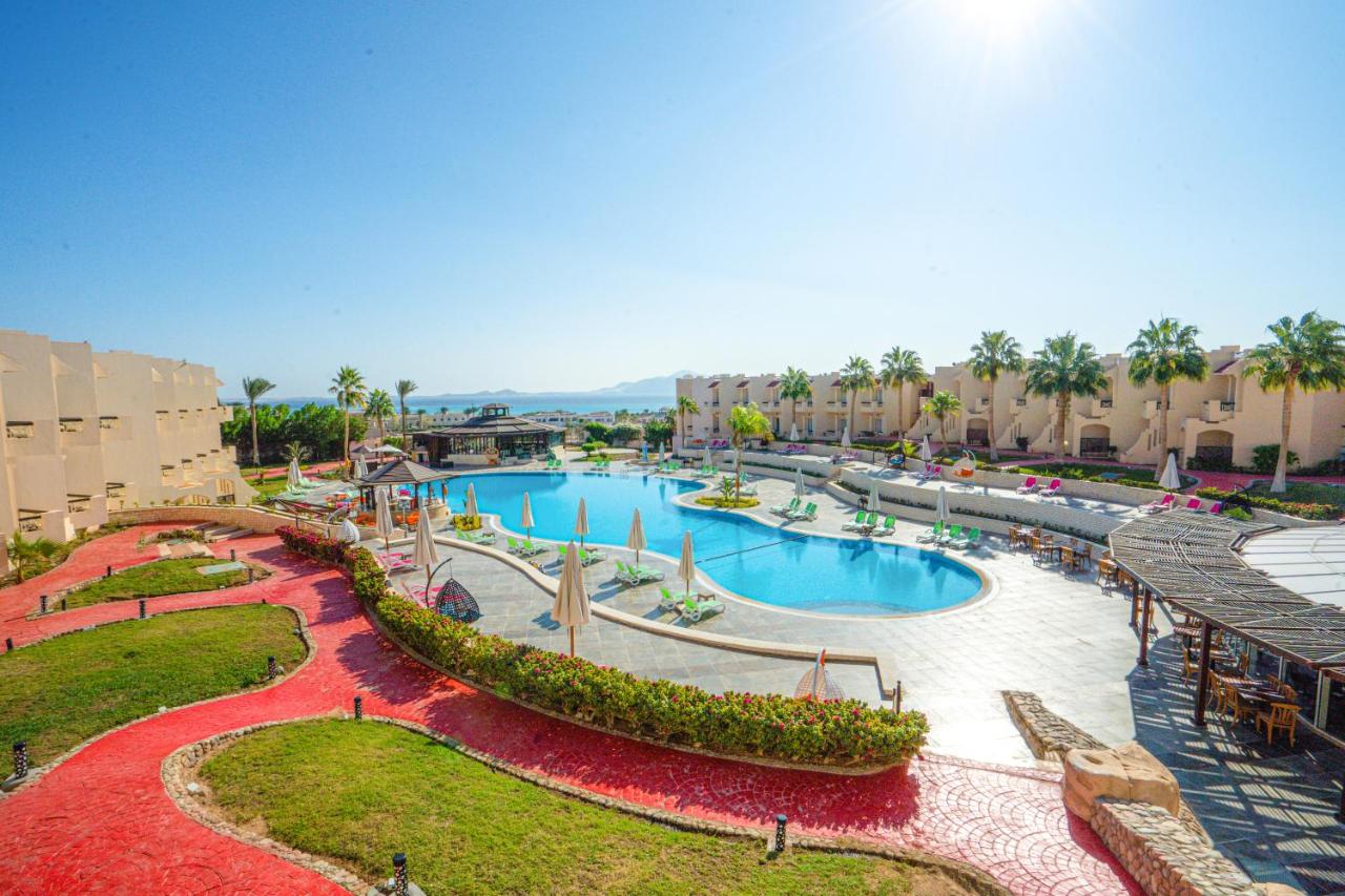 Ivy Cyrene Sharm Hotel