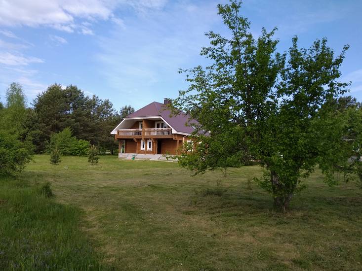 Кветки яблыни 3* Беларусь, Минск