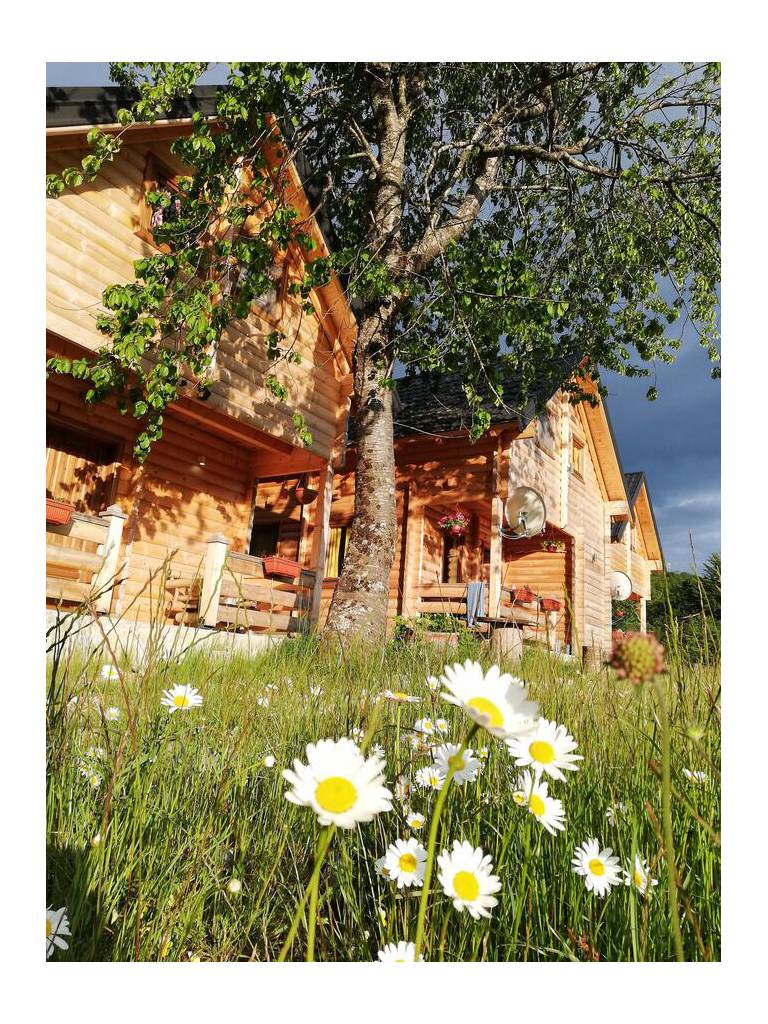 Sunny Hill Cabins Kolasin