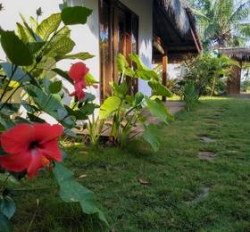 Nanas Homestay в о-ве Ломбок