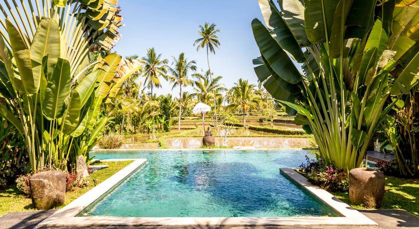 Hati Padi Cottages 3* Индонезия, Убуд