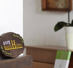 Waldhotel Maum в Гиссене