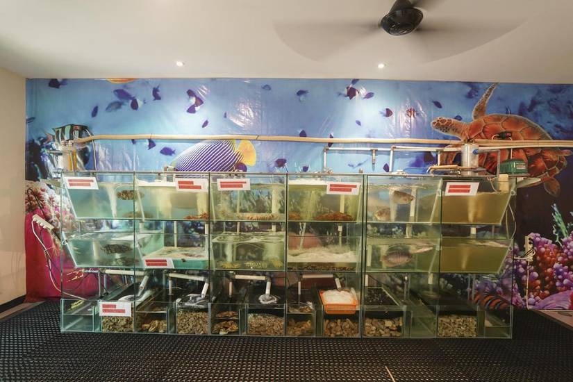 Oyo 1992 China Town Hotel Bali 2* Индонезия, Кута