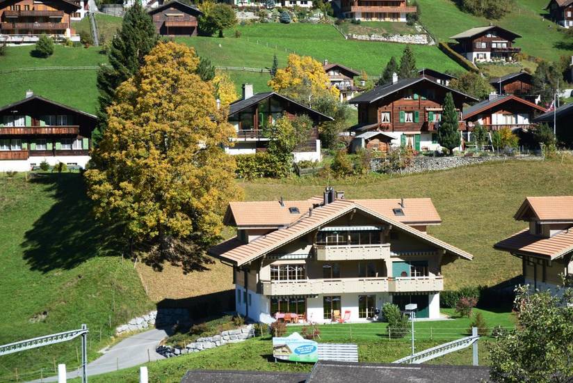 Hotel Alfa 3* Швейцария, Гриндельвальд