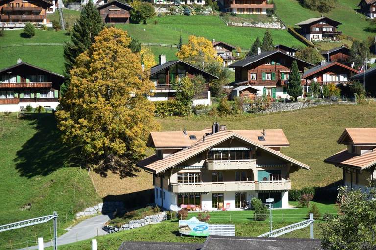 Hotel Alfa