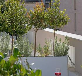 Туры в Belle Epoque Suites Athens в Греции