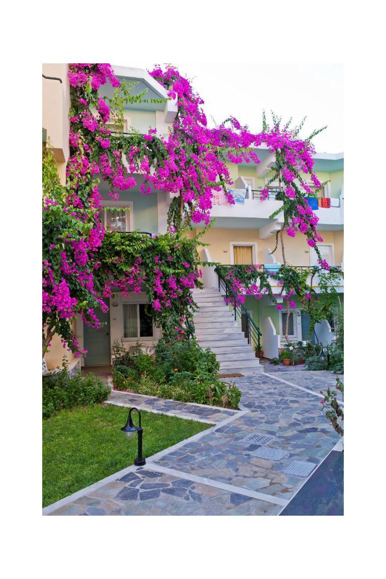 Dedalos Beach Hotel