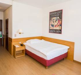 Hotel du Rhone в Вале