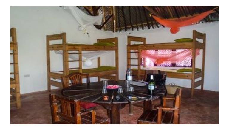 Swahili Divers Gecko Nature Lodge