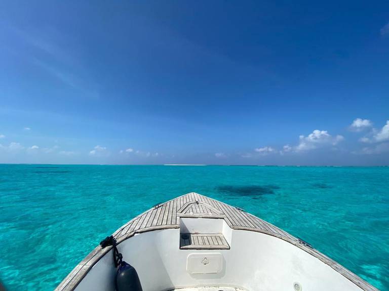 Beach Veli