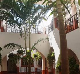 Туры в El Patio Hotel Suite в Мексике