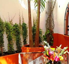 Отдых в El Patio Hotel Suite - Мексика, Ривьера Майя