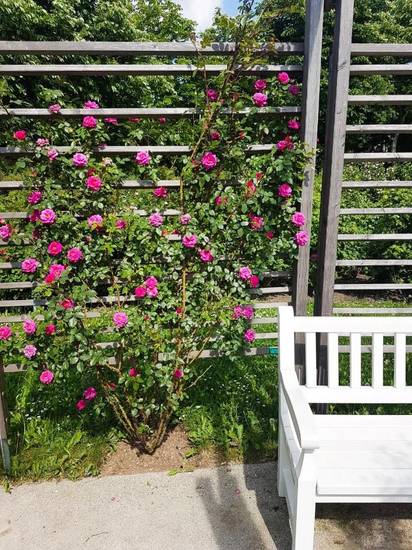 Helenental Pension Apartments Австрия, Баден
