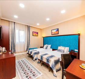 Asir Hotel&Suites в Стамбуле