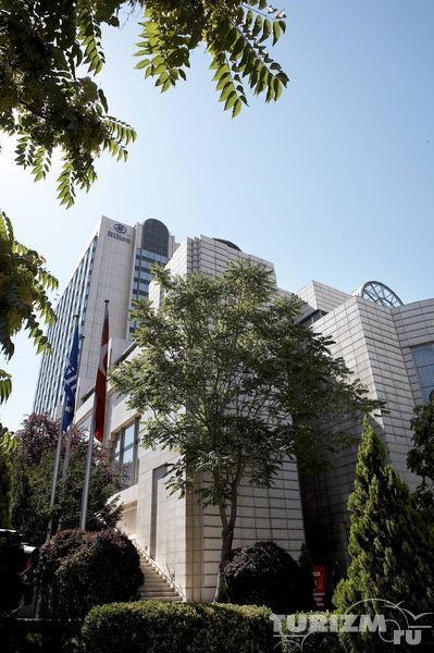 Hiltonsa