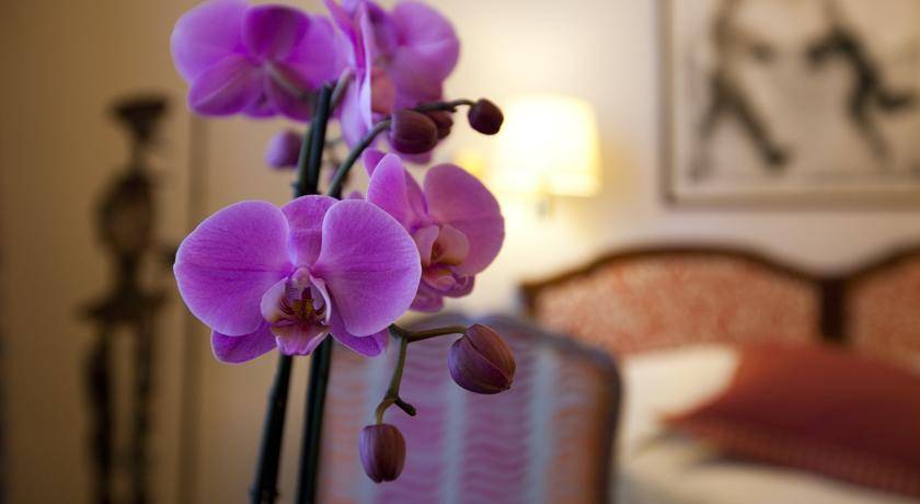 Hotel Victoria Eco 3* Швейцария, Лозанна