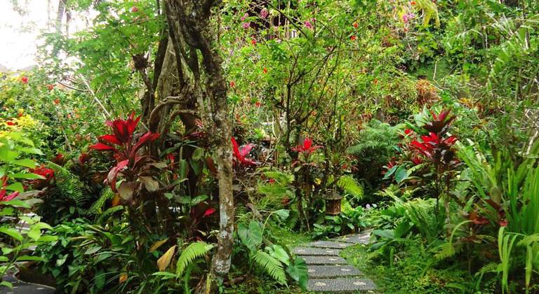 Gustis Garden Bungalows