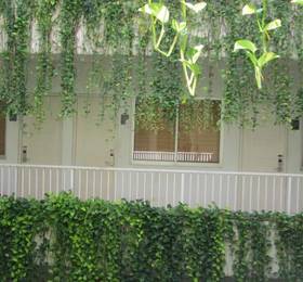 Туры в LeGreen Suite Penjernihan в Индонезии