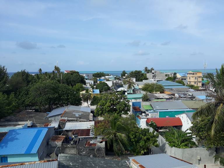 Hibiscus Holidays