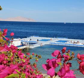 Domina Prestige Hotel & Resort в Шарм-эль-Шейхе