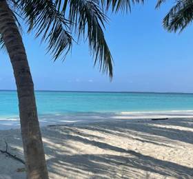 Отдых в ViluVeli Holiday Retreat - Мальдивы, Хаа Алифу Атолл