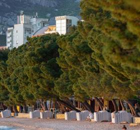 Отдых в Hotel Park Makarska - Хорватия, Макарска