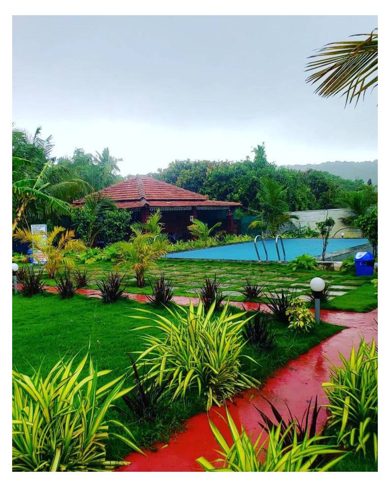 White Truffle Resort, Arambol