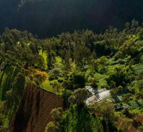 Туры в Plataran Bromo в Индонезии