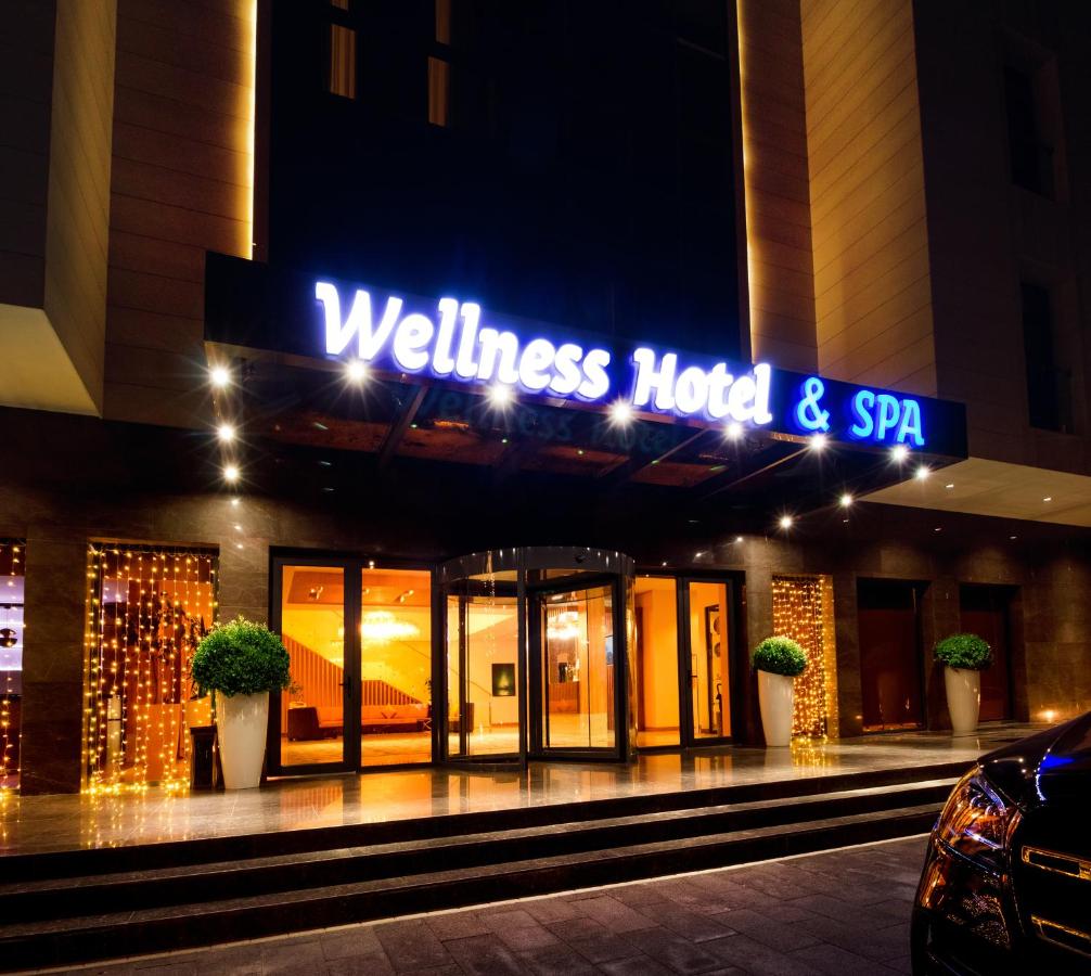 Wellness Hotel and Spa 4*