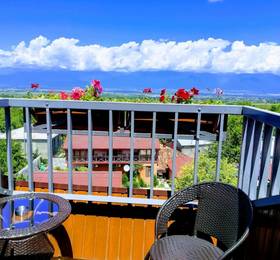 Savaneti Hotel в Телави