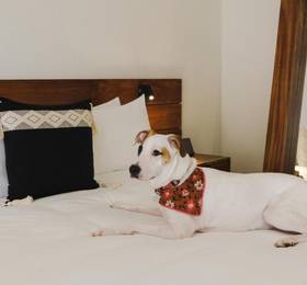 Туры в Kimpton Aluna Tulum, an IHG Hotel в Мексике