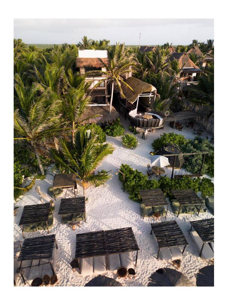 Orchid Beach House