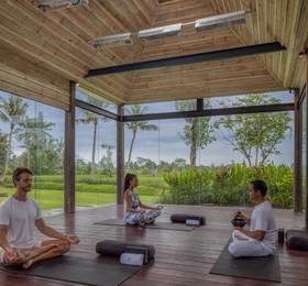 Gdas Bali Health and Wellness Resort в Убуде