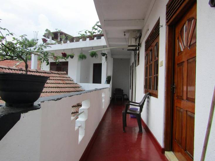 New sea lion guest house дом отдыха Шри-Ланка, Хиккадува
