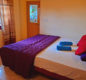 New sea lion guest house в Хиккадуве