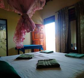 Отдых в New sea lion guest house - Шри-Ланка, Хиккадува