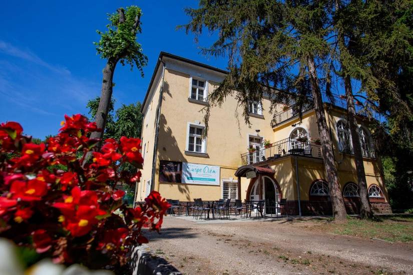 Hotel Carpe Diem 3* Венгрия, Шиофок