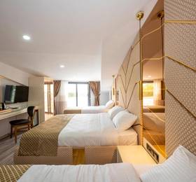 Luxury Airport Hotel в Стамбуле