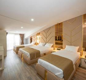 Туры в Luxury Airport Hotel в Турции