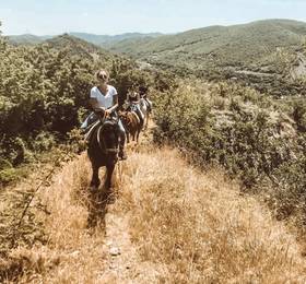 Туры в Lost Ridge Inn, Brewery & Ranch в Грузии