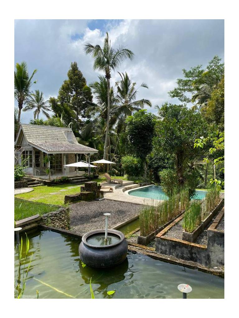 Aventus Resort Ubud