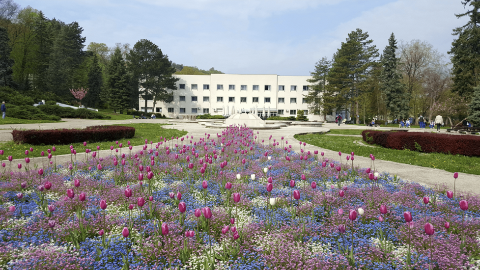 Institute Niska Banja 3* Сербия, Ниш