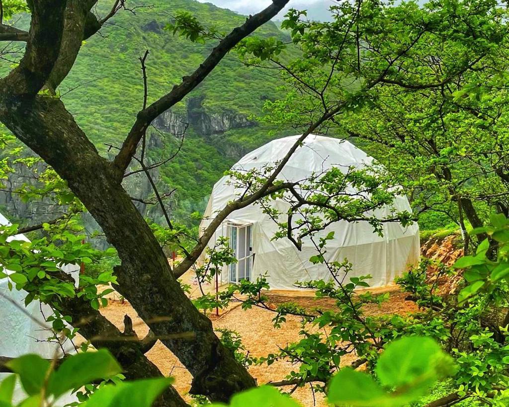 Serene Glamping 5*