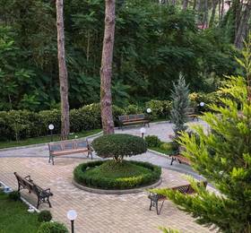 Buxus Hotel Shekvetili в Шекветили
