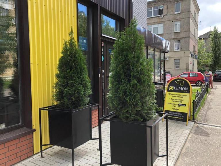 Lemon Loft Отель