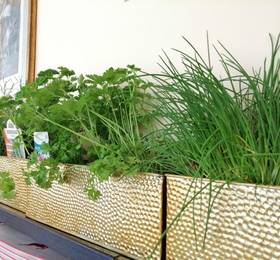 Seehotel Gruner Baum в Гальштате